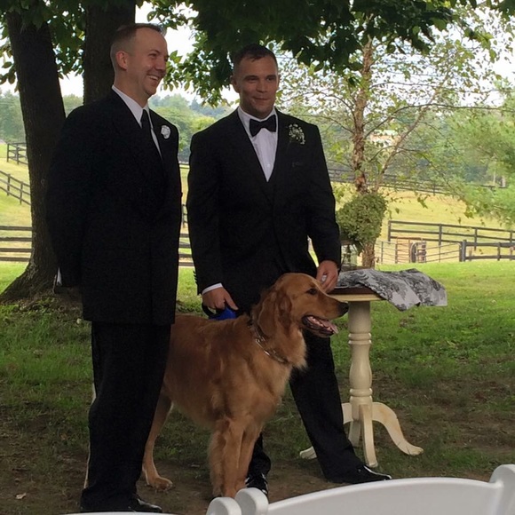 Meet your Posher, Tom - Picture 3 of 8